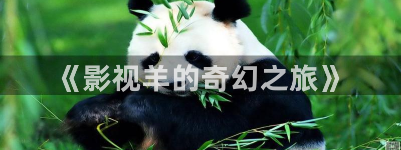 奔跑吧第十季星辰影院免费观看