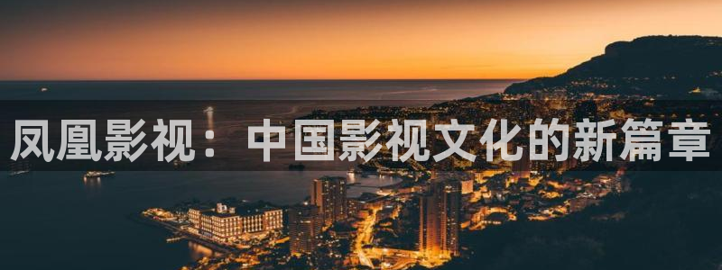 嫂子的职业星辰影院