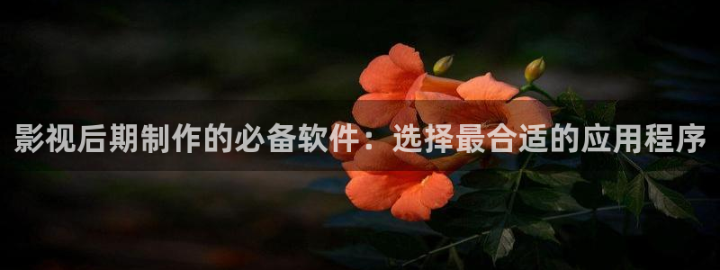 一起来看流星雨星辰影院