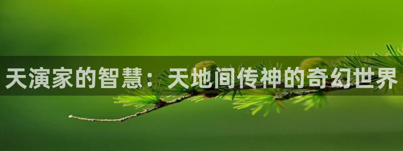 天美传媒星辰影院