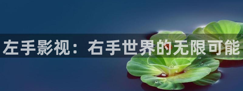 向风而行电视剧免费观看星辰影院